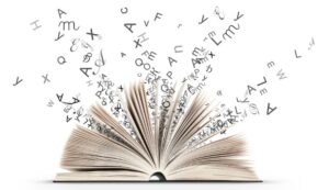 Image de la Bibliographie